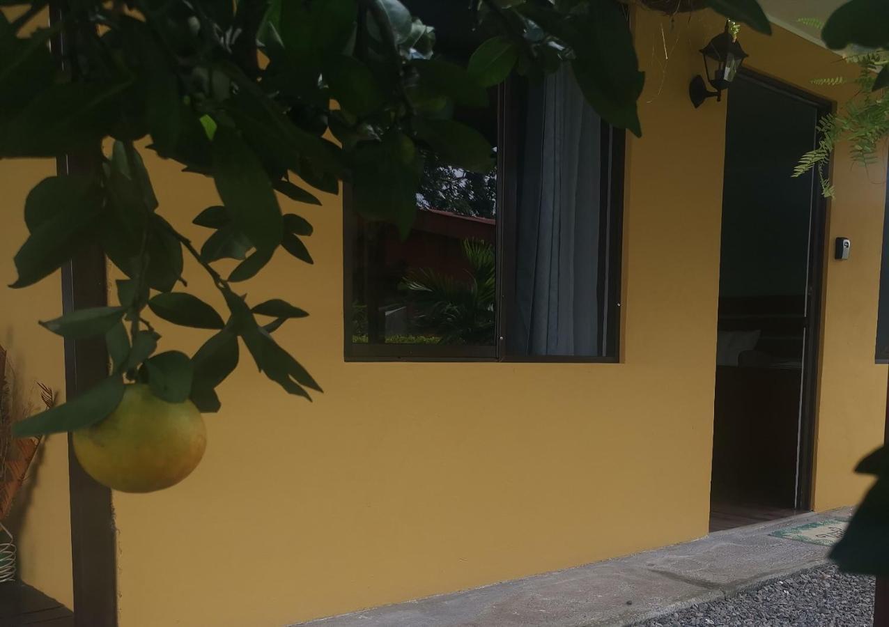 Dreamcatcher House Sarchi ภายนอก รูปภาพ