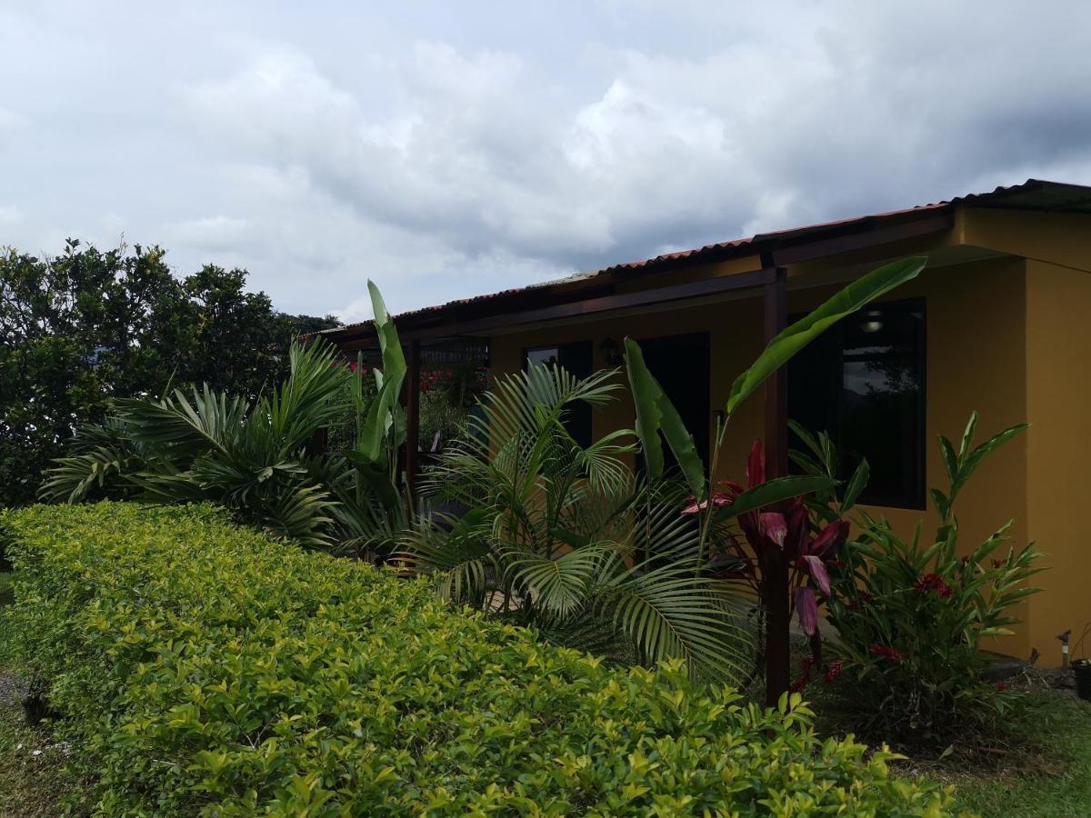 Dreamcatcher House Sarchi ภายนอก รูปภาพ