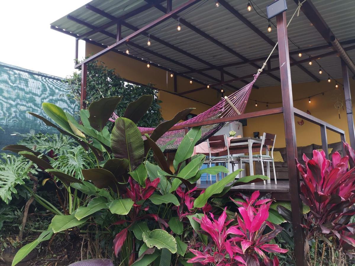 Dreamcatcher House Sarchi ภายนอก รูปภาพ